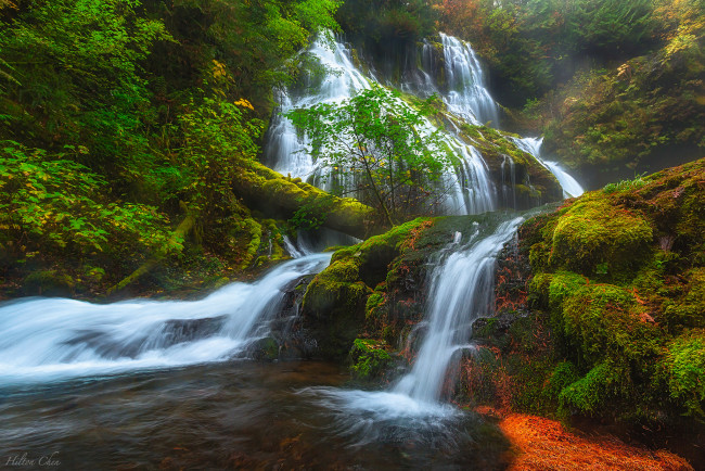 Обои картинки фото природа, водопады, водопад, река, лес