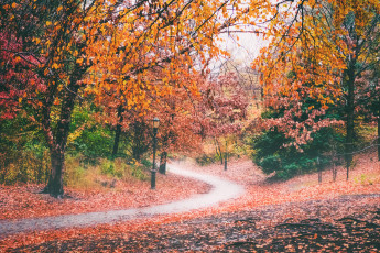 Картинка природа дороги национальный парк ордеса восход монте пердидо