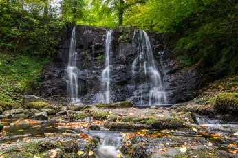 Картинка природа водопады водопад река лес