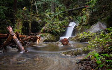 Картинка природа водопады лес водопад река
