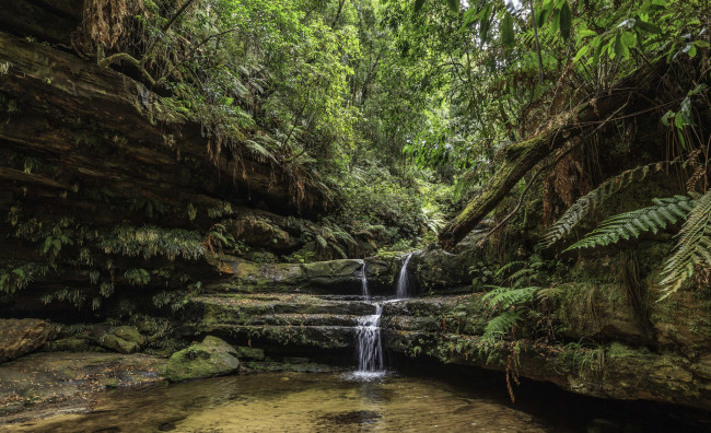 Обои картинки фото природа, водопады, лес, водопад, река