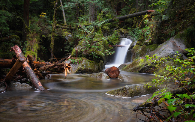 Обои картинки фото природа, водопады, лес, водопад, река
