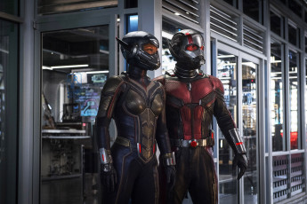 Картинка кино+фильмы ant-man+and+the+wasp ant-man and the wasp