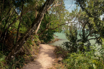 Картинка природа дороги простор