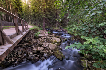 Картинка природа реки озера простор