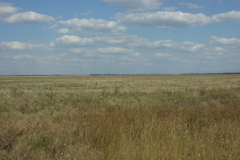 Картинка крым +степь природа пейзажи степь небо трава