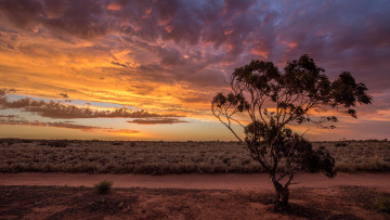 Картинка природа пейзажи простор