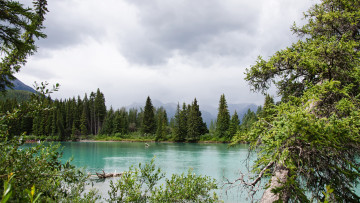 Картинка природа реки озера простор