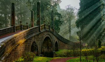 Картинка природа дороги простор