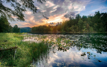 Картинка природа реки озера простор