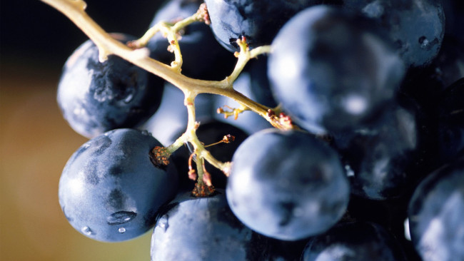 Обои картинки фото еда, виноград, макро, ягоды