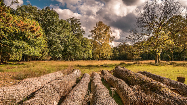 Обои картинки фото природа, пейзажи, простор