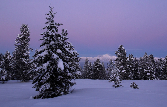 Обои картинки фото природа, зима, простор