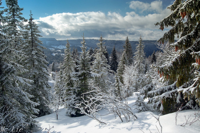 Обои картинки фото природа, зима, простор