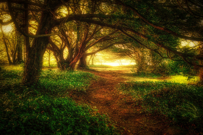 Обои картинки фото природа, дороги, простор