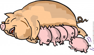 Картинка календари рисованные +векторная+графика поросенок свинья