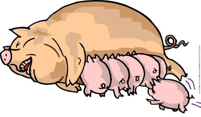 Обои картинки фото календари, рисованные,  векторная графика, поросенок, свинья