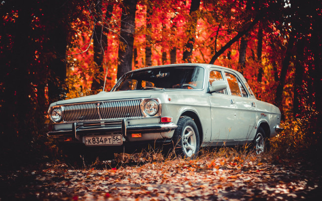 Обои картинки фото автомобили, газ, волга, 24