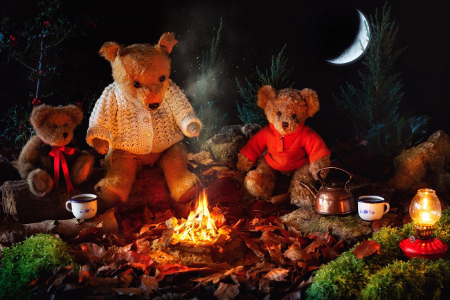 Обои картинки фото разное, игрушки, костер, лампа, чай, луна, медведи, плюшевые