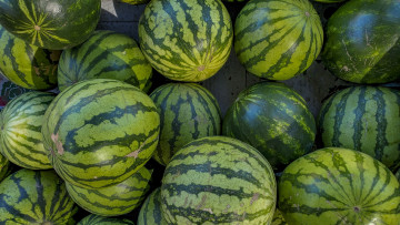 Картинка еда арбуз полосатые арбузы много