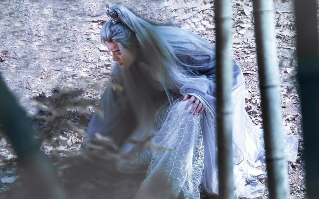 Обои картинки фото miss the dragon | yu long, кино фильмы, miss the dragon, повстечавшая, дракона