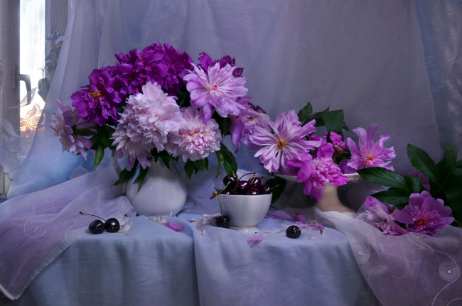 Обои картинки фото еда, вишня,  черешня, букет, пионы, вишни