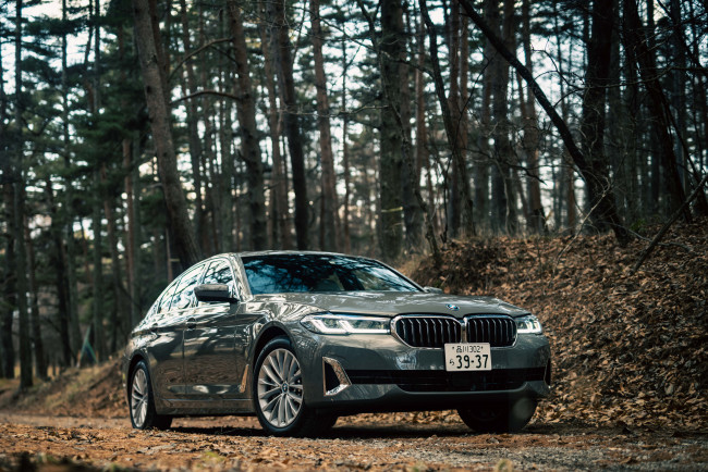 Обои картинки фото автомобили, bmw