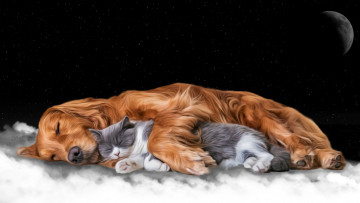 Картинка разное компьютерный+дизайн друзья собака кот кошка