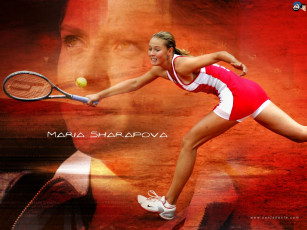 Картинка теннис спорт