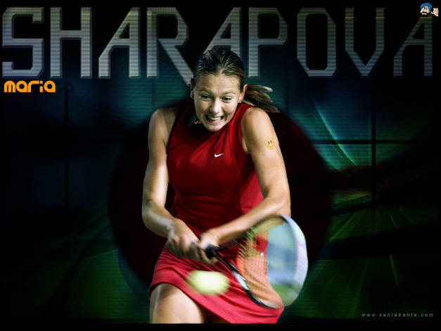 Обои картинки фото теннис, спорт