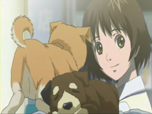 обоя аниме, zegapain