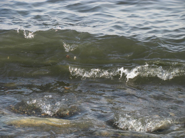 Обои картинки фото 