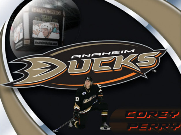 Обои картинки фото ducks, спорт, nhl