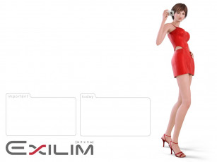 Картинка бренды exilim