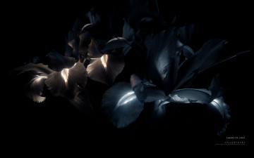 Картинка 3д графика abstract абстракции