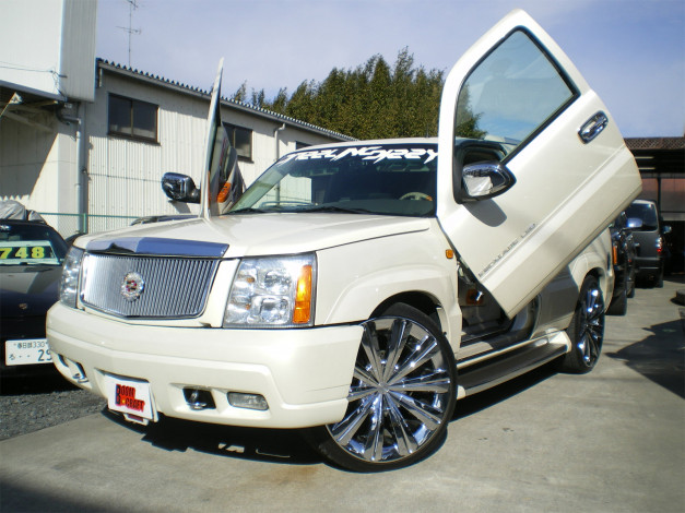 Обои картинки фото автомобили, cadillac