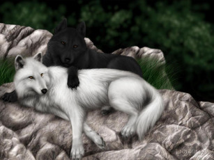 Картинка рисованные животные