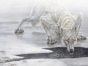 Картинка рисованные животные