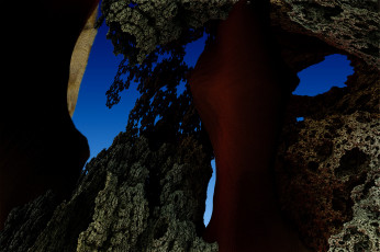 Картинка 3д графика fractal фракталы гграфика фон узор