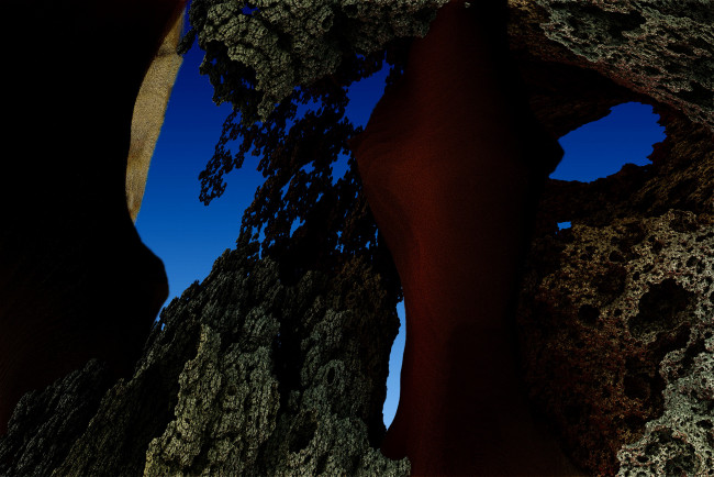 Обои картинки фото 3д, графика, fractal, фракталы, гграфика, фон, узор