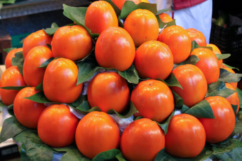 Картинка еда хурма фрукт