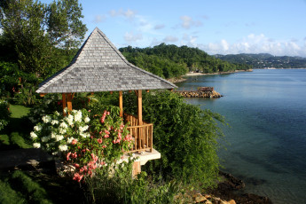 Картинка природа побережье море цветы беседка горы