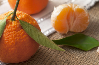 Картинка еда цитрусы мандарин