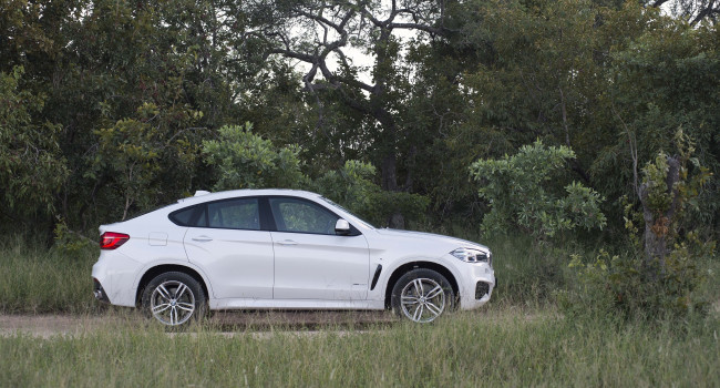 Обои картинки фото автомобили, bmw, sport, xdrive50i, m, x6, светлый, 2015г, f16, za-spec, package