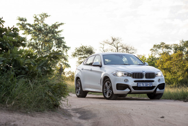 Обои картинки фото автомобили, bmw, package, sport, xdrive50i, m, x6, светлый, za-spec, f16, 2015г