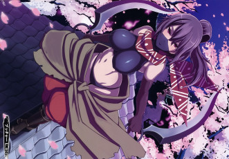 Картинка аниме senran+kagura девушка