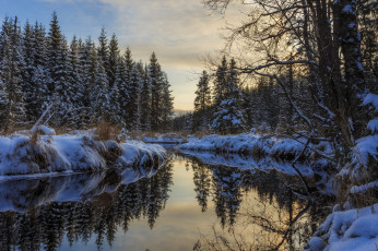 Картинка природа реки озера река лес