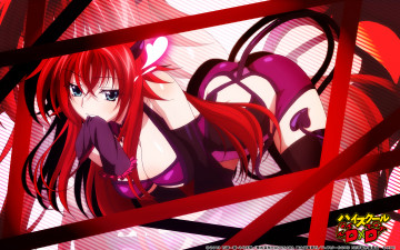 Картинка highschool+dxd аниме девушка взгляд фон