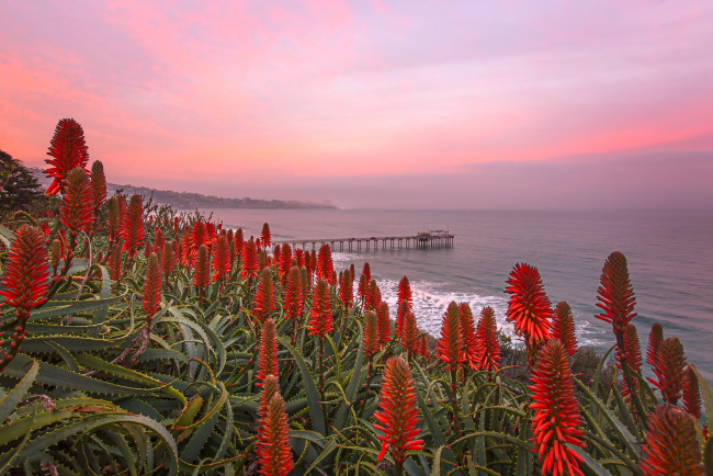 Обои картинки фото природа, побережье, берег, море