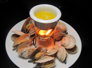 Картинка еда рыба +морепродукты +суши +роллы моллюски